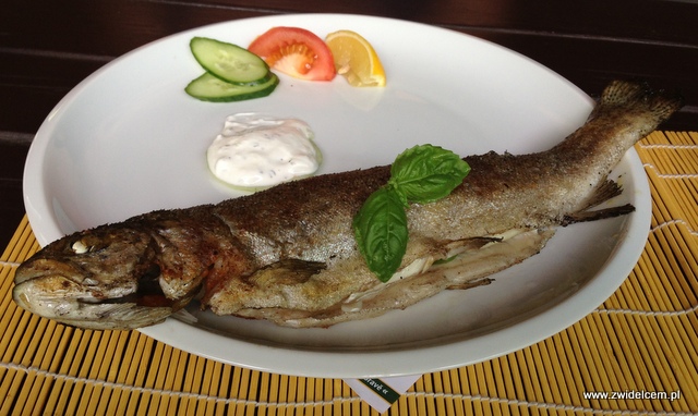 Morawy – Brno – TeePee - Pstrąg