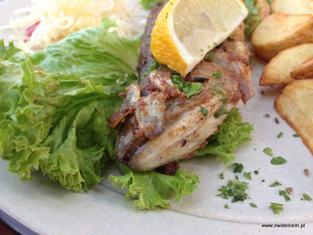 Morawy - Brno - Restaurace U Kotvy- Pstrąg